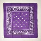 Dinosaur Jr./Cow Bandana�ʥ����ʥ���Jr. ���ե������Х���ʡ˥ѡ��ץ� [a-8193]