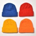 Beaniiez/Accent Acrylic Beanie(�ӡ��ˡ��� �˥åȥ���å�) [a-8383]