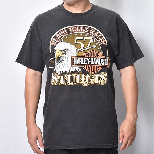 Vintage/Old Harley Davidson Dealer & Rally T-Shirt(ハーレー