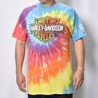 ��Vintage/Old Harley Davidson Dealer & Rally T-Shirt(�ϡ��졼���ӥåɥ��� T�����)��������/������L���� [y-1422]