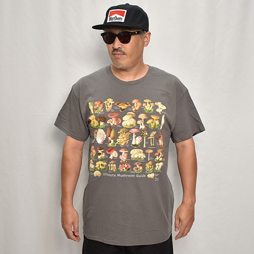 Mushroom Guide S/S T-Shirt�ʥޥå���롼�६���� T����ġ˥��㥳���� [a-8089]