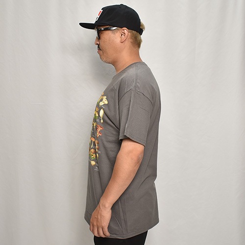 Mushroom Guide S/S T-Shirt�ʥޥå���롼�६���� T����ġ˥��㥳���� [a-8089]