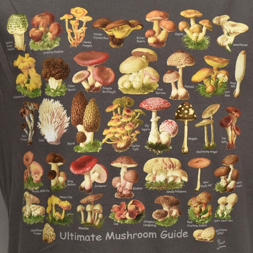 Mushroom Guide S/S T-Shirt�ʥޥå���롼�६���� T����ġ˥��㥳���� [a-8089]
