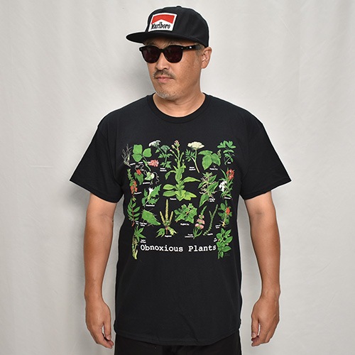 Plants Guide S/S T-Shirt�ʥץ��ĥ����� T����ġ˥֥�å� [a-8090]