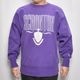 ��Champion/90's Vintage Reverse Weave Crew Neck Sweat�ʥ����ԥ��� ��С����������֥������åȡ˥ѡ��ץ�/������XL [y-0967]