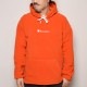 Champion/Polartec Fleece Pullover Hoodieʥԥ ե꡼ѡ˥ [a-2721]