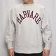 ��Champion/90's Vintage Reverse Weave Crew Neck Sweat�ʥ����ԥ��� ��С����������֥������åȡ˥��å��奰�졼/������L [y-0974]