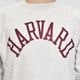 ��Champion/90's Vintage Reverse Weave Crew Neck Sweat�ʥ����ԥ��� ��С����������֥������åȡ˥��å��奰�졼/������L [y-0974]