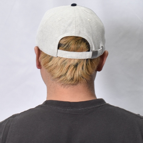 American Needle/Detroit Wolverines 1881 6Panel Cap（アメリカン