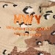 HWYUS/Hawg Cotton Bucket Hatʥ֥塼磻ߥ ϥåȡ˥ǥȥ [a-7067]