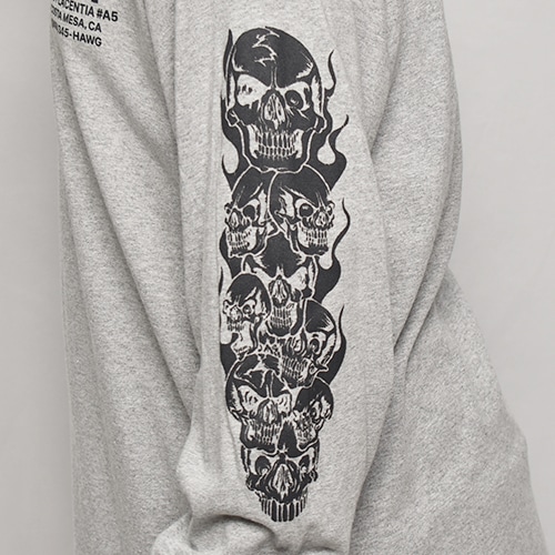HWY��US/Skull Flames L/S T-Shirt�ʥ��������֥�塼�磻�ߥ��� T����ġ˥إ������졼 [a-7687]