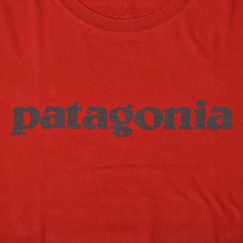 Patagonia/Old S/S Logo T-Shirt(ѥ˥ T)å/L [z-3763]