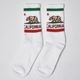 Socco Socks/Cali Bear Socks�ʥ��å� ���å����� [a-7663]