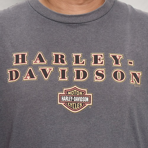 Panty Dropper��US/Custom Printed Biker S/S T-Shirt/Burst(�ѥ�ƥ��ɥ��åѡ��ߥ��� T�����)���㥳���륰�졼/������XL���� [y-0410]