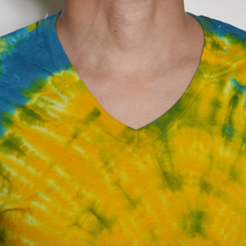 Hanes��US/S/S Tie Dye V-Neck T-Shirt�ʥإ��� V�ͥå�T����ġ˥֥롼�ߥ������� [n-8340]