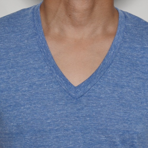 Alternative Apparel/Heathered V-Neck T-Shirt�ʥ��륿�ͥ��ƥ��֥��ѥ�� V�ͥå�T����ġ˥إ����饤�ȥ֥롼 [n-8375]