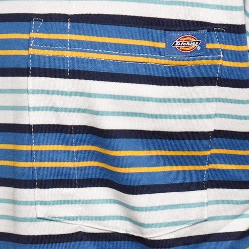 Dickies/Relaxed Fit Multi Striped Pocket S/S Tee�ʥǥ��å����� �ܡ������ݥ��å�T����ġ˥֥롼�ߥۥ磻�ȡߥ������� [a-6168]