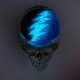 The Skull Shift Knob�ʥ����륷�եȥΥ֡��߸�GD��������ߥ��ꥢ [a-4215]