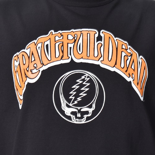 Champion��Grateful Dead/"T1011" S/S T-Shirt�ʥ����ԥ���ߥ��쥤�ȥե롦�ǥå� T����ġ˥֥�å� [a-8478]