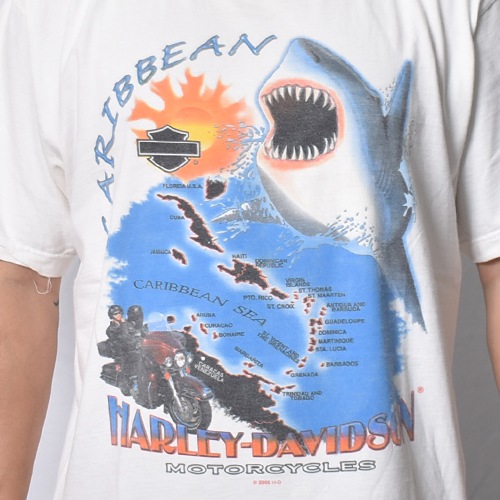 ��Vintage/Old Harley Davidson Dealer & Rally T-Shirt(�ϡ��졼���ӥåɥ��� T�����)�ۥ磻��/������XL [y-1420]