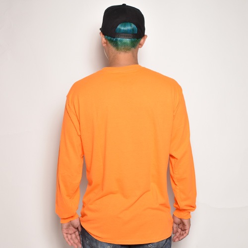 The Driven Skateboards/Peewee L/S T-shirt(ドリブン Tシャツ