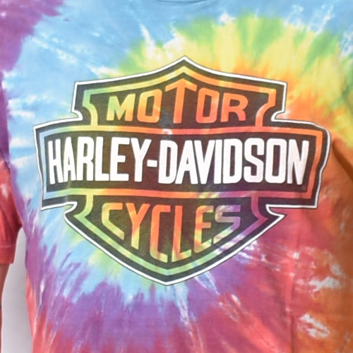 ��Vintage/Old Harley Davidson Dealer & Rally T-Shirt(�ϡ��졼���ӥåɥ��� T�����)��������/������L���� [y-1422]