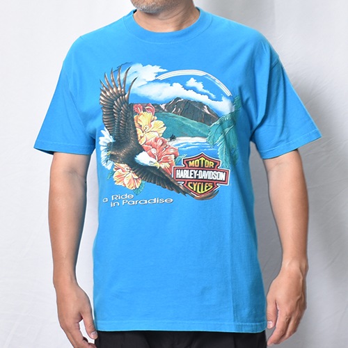 Vintage/Old Harley Davidson Dealer & Rally T-Shirt(ハーレー