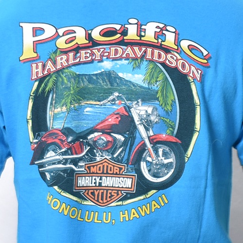 Vintage/Old Harley Davidson Dealer & Rally T-Shirt(ハーレー