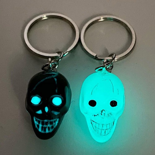 The Spooky Skull Key Holders w/Ball Chain�ʥ����륭���ۥ�����˥֥�å����߸������� [a-5384]