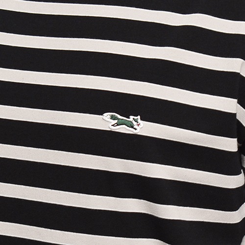 Penney's/The Fox Multi Border S/S T-Shirtʥڥˡ ܡTġ˥֥åߥ졼 [a-7458]