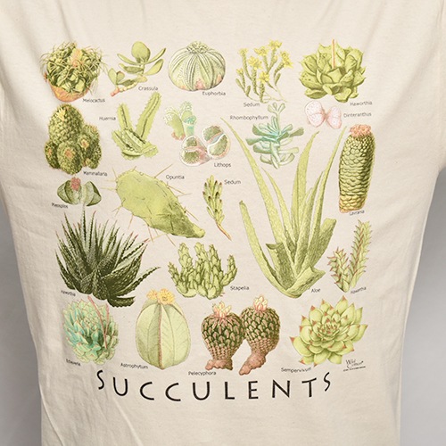 Succulents S/S T-shirt�ʥ�������� T����ġ˥١����� [a-7600]