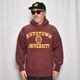 ��Champion/90's Vintage Reverse Weave Pullover Hoodie�ʥ����ԥ��� ��С����������֥ѡ������˥С�����ǥ�/������L [y-0950]