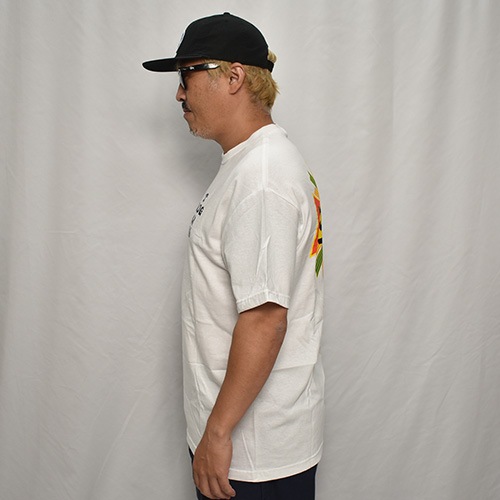 Dogtown/Cross Logo S/S T-Shirtʥɥå Tġ˥ۥ磻ȡߥ饹 [a-8163]