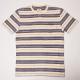 Vans/Breman Border T-ShirtʥХ ޥܡTġ˥ʥޥ [a-1091]