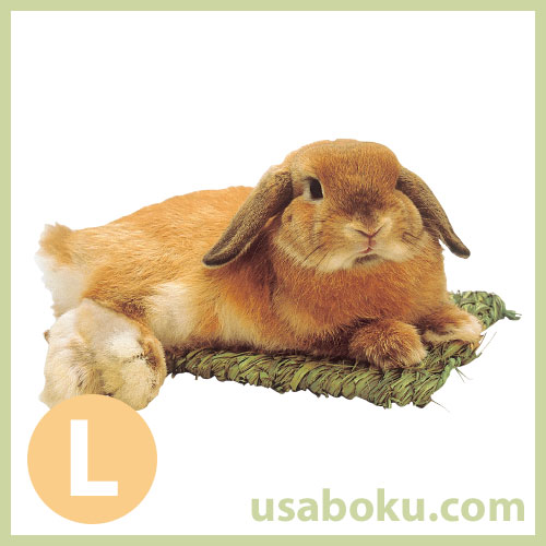 わらっこ倶楽部】うさぎの座布団 Lの通販はうさぎの牧草.com