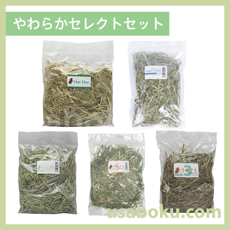 �ڤ����ᤷ����ۤ��餫���쥯�ȥ��å�