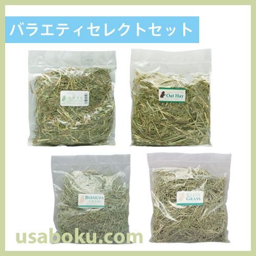 �ڤ����ᤷ����ۥХ饨�ƥ����쥯�ȥ��å�