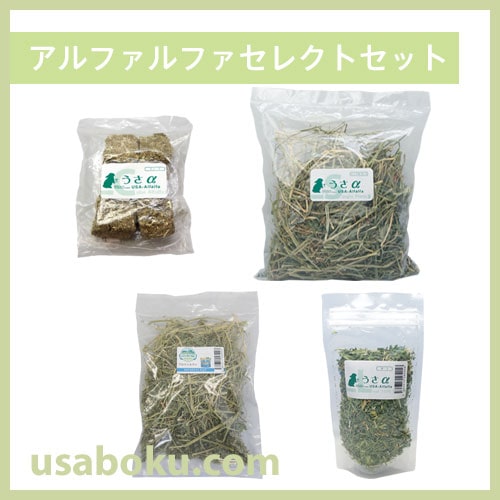 �ڤ����ᤷ����ۥ���ե���ե����쥯�ȥ��å�