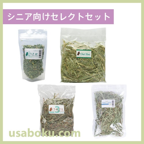 �ڤ����ᤷ����ۥ��˥��������쥯�ȥ��å�