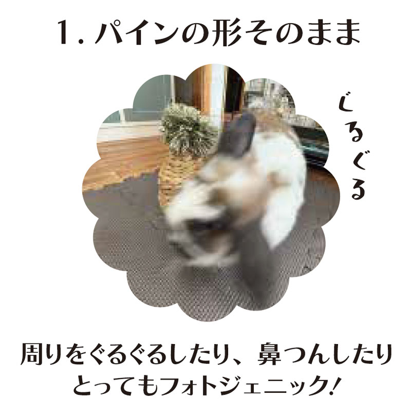 ���륳���ѥ���