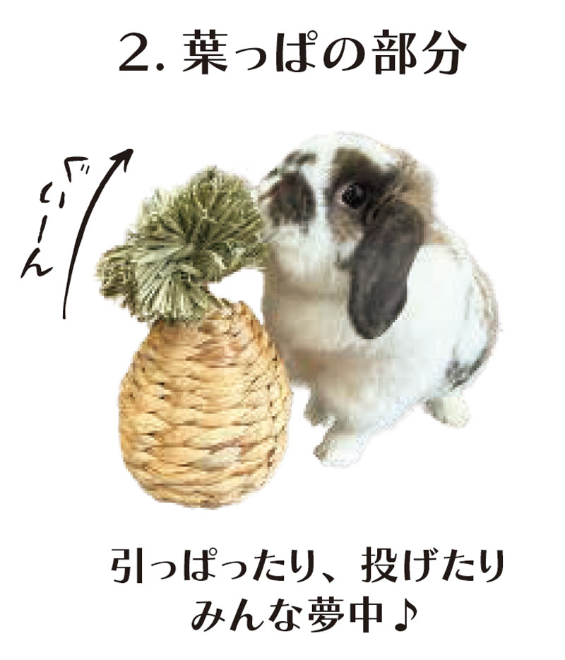 ���륳���ѥ���