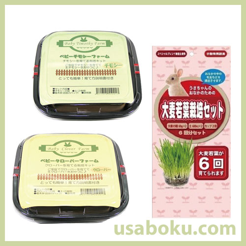 生牧草栽培 3種類セットの通販はうさぎの牧草.com