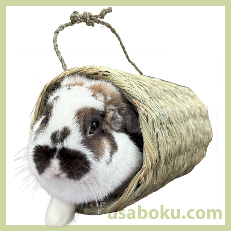 �ڤ��ä�������ۤ�������繥�����塼��