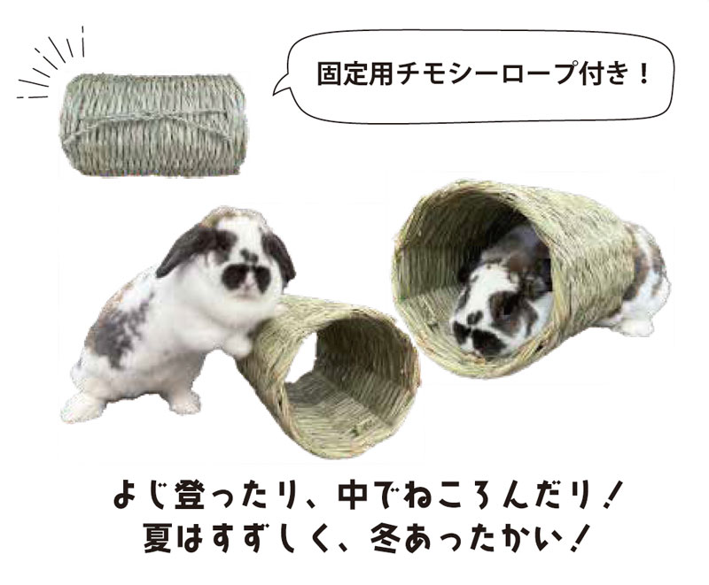 �ڤ��ä�������ۤ�������繥�����塼��