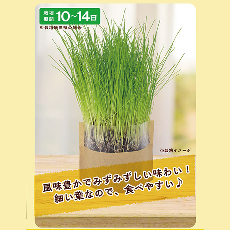 �ޥ������ǥ� ������ݥ��å� �����ꥢ��饤���饹