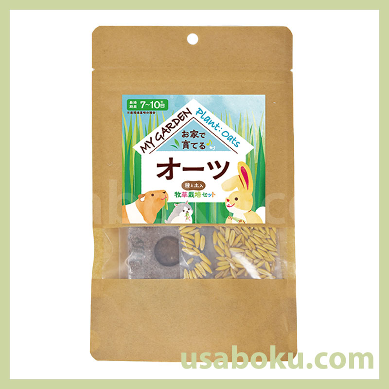 �ޥ������ǥ� ������ݥ��å� ������