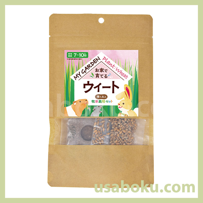 �ޥ������ǥ� ������ݥ��å� �С��꡼