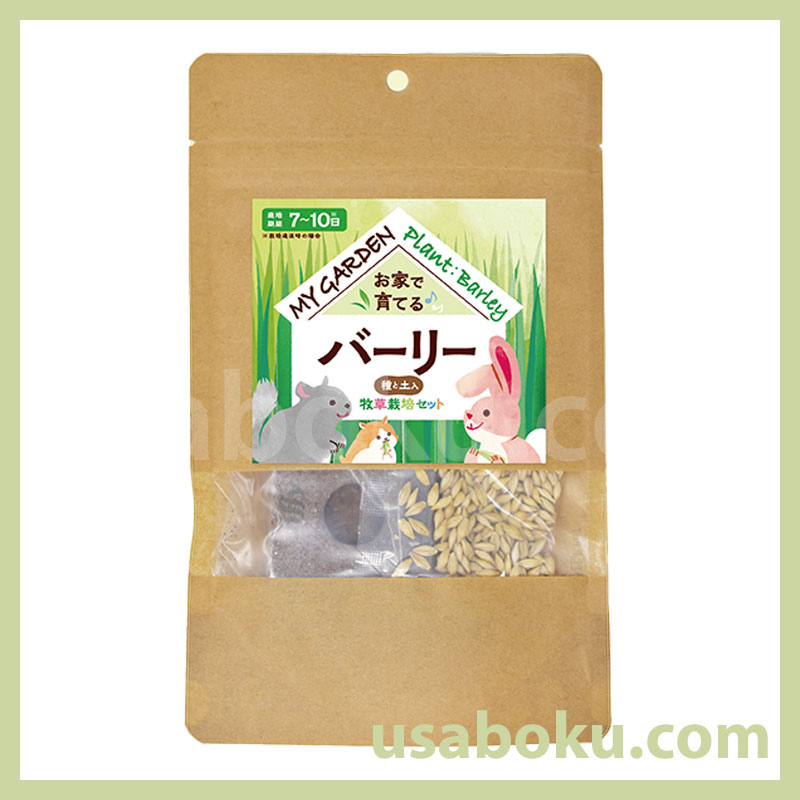 �ޥ������ǥ� ������ݥ��å� ��������