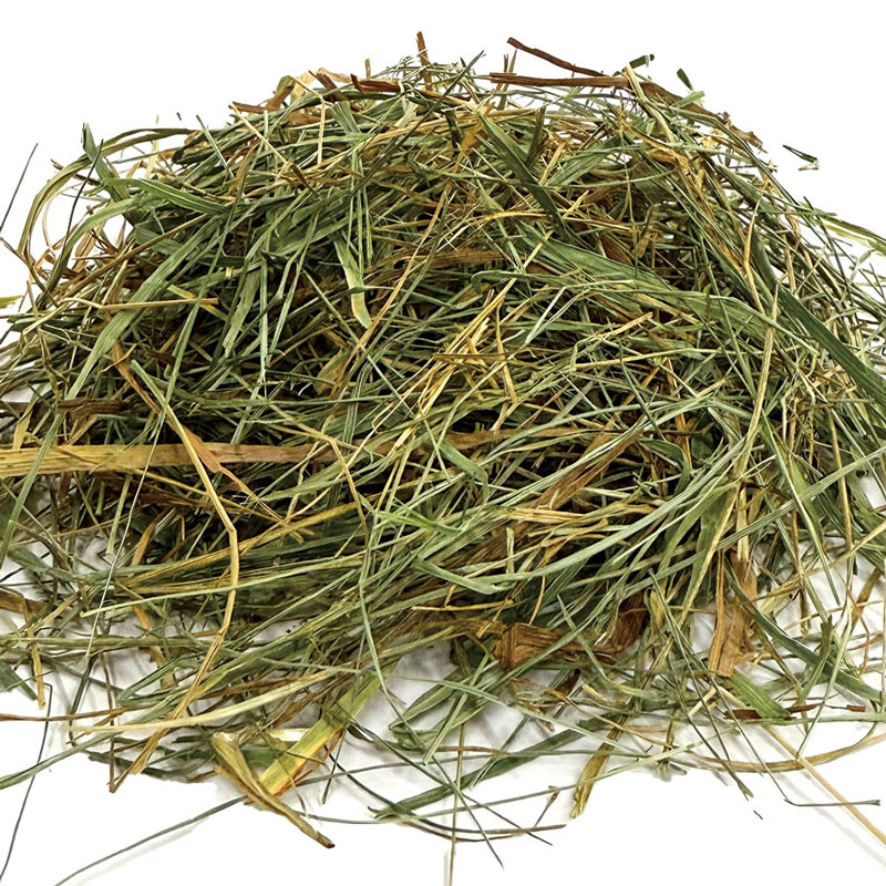 �ڥ����ȥ�åȡۥ��⡼��ڥåȥ��쥯�� �ץ�ߥ��०��ȥ饽�եȥ��⥷�� 425g