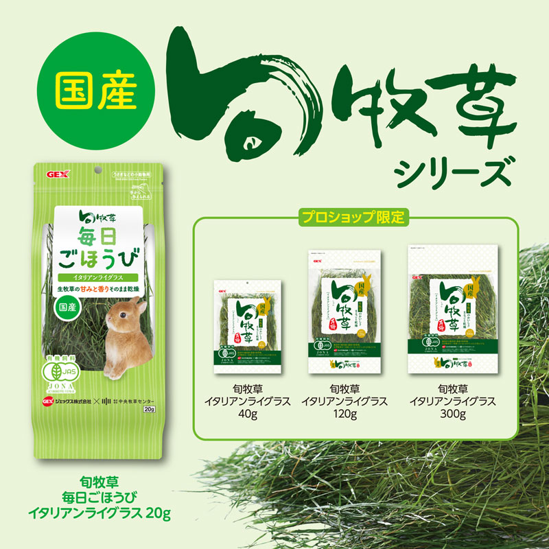 ������ �������ۤ��ӥ����ꥢ��饤���饹20g